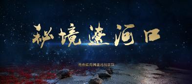 燃烧的蔬菜4新鲜战队