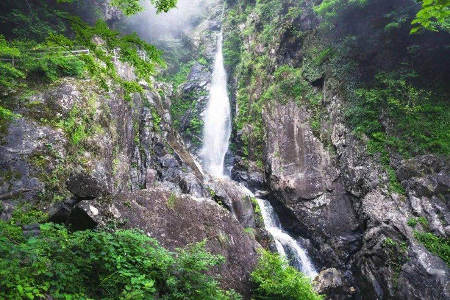 江苏新沂：电商乘“数”而上 加“数”前行 是实现富民的新引擎