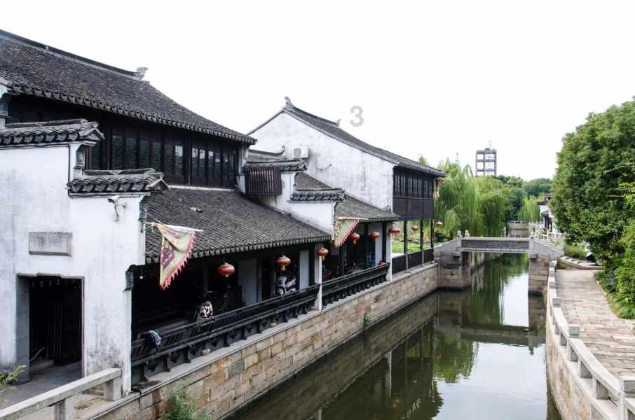 “向海花开”迎新春